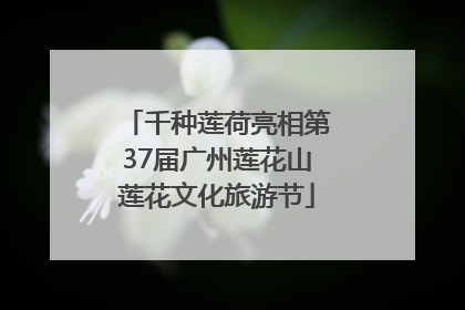 千种莲荷亮相第37届广州莲花山莲花文化旅游节